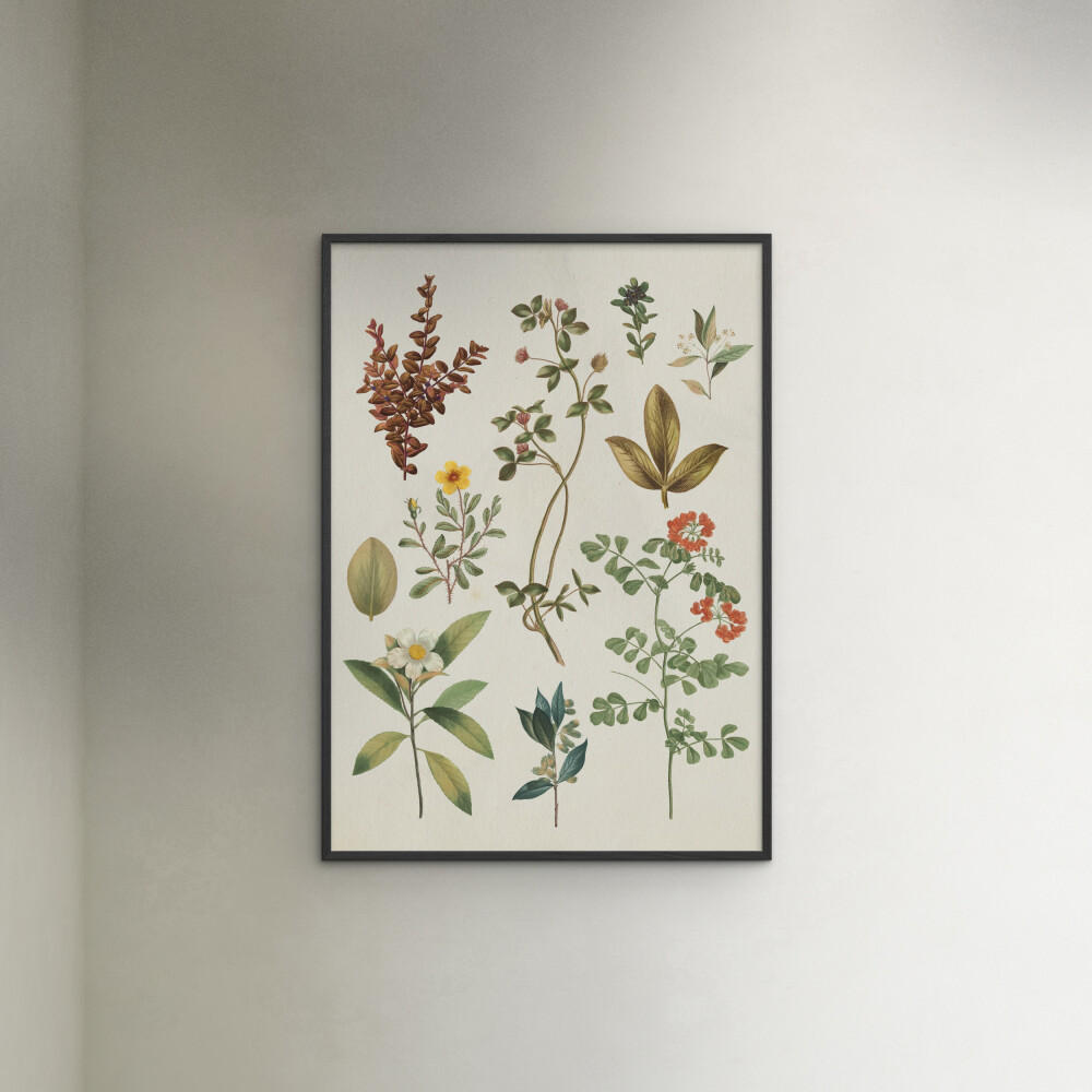 POSTER mit Rahmen Wild Apple - Victorian Garden III - Schwarz/Grün, Holz/Papier (70/100cm) - Poster&Frame