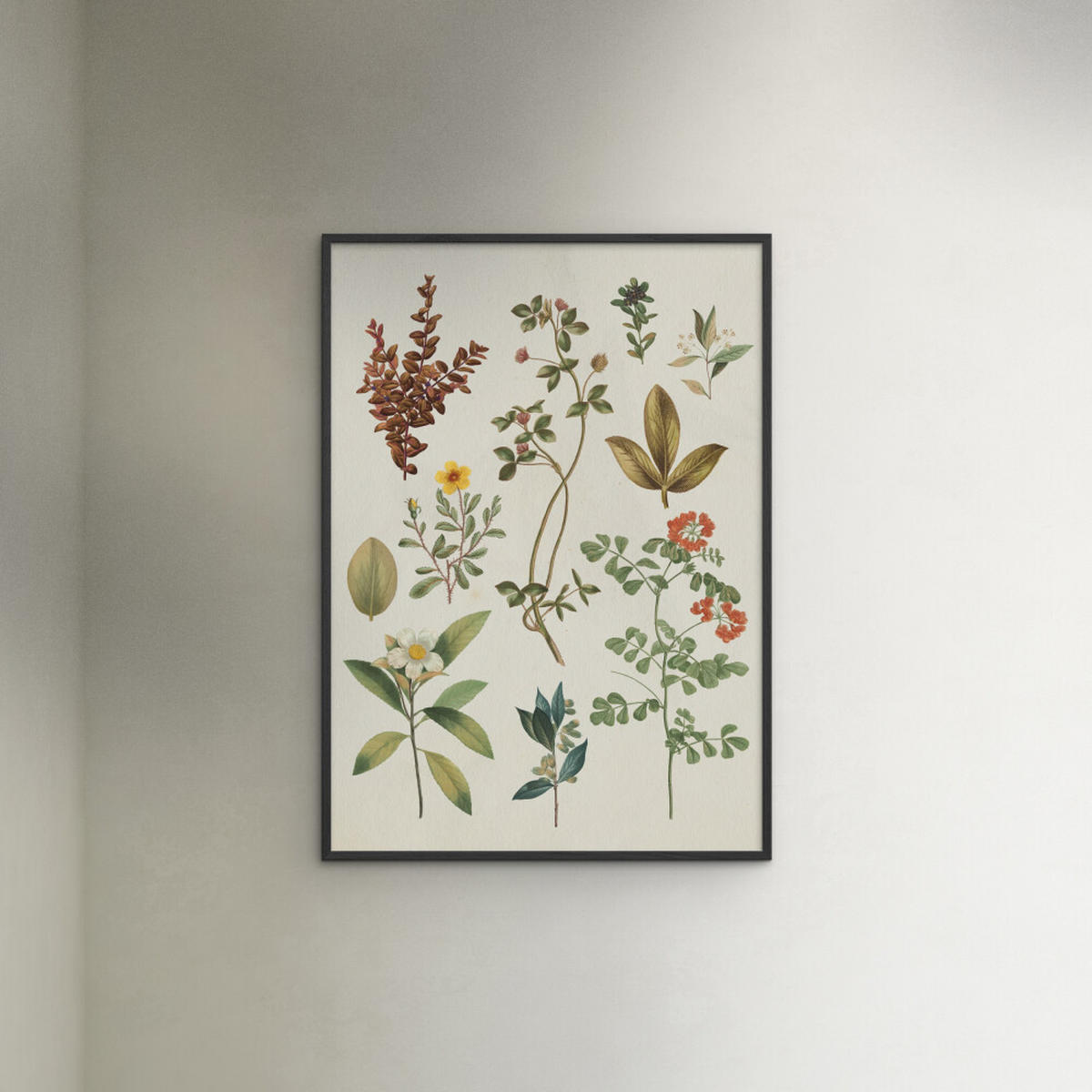 POSTER mit Rahmen Wild Apple - Victorian Garden III - Schwarz/Grün, Holz/Papier (70/100cm) - Poster&Frame