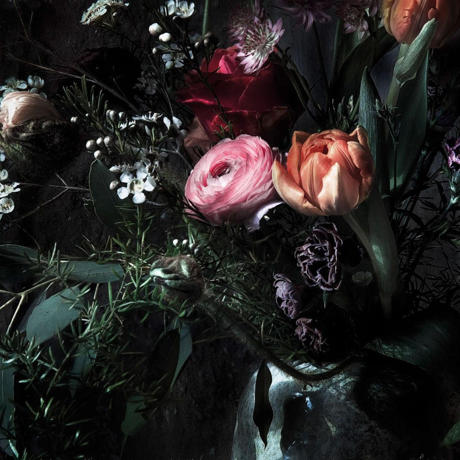 FOTOTAPETE Blumen 368 x 254 cm - Schwarz, Papier (368/254cm) - Sanders & Sanders
