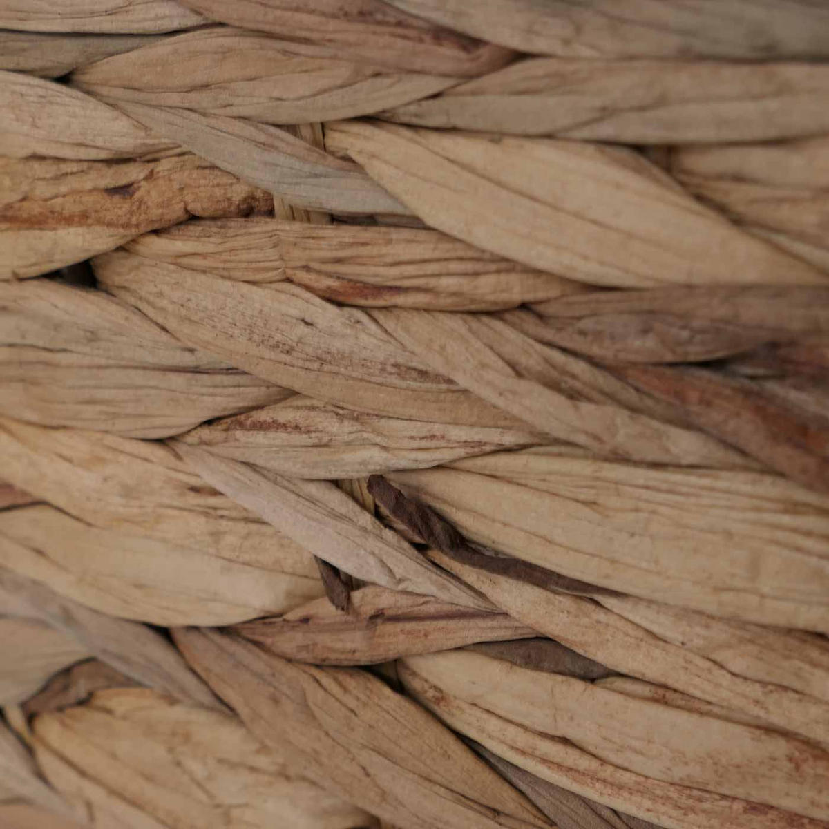 KLOP Bela - bela, les (100/45/42cm) - MCW