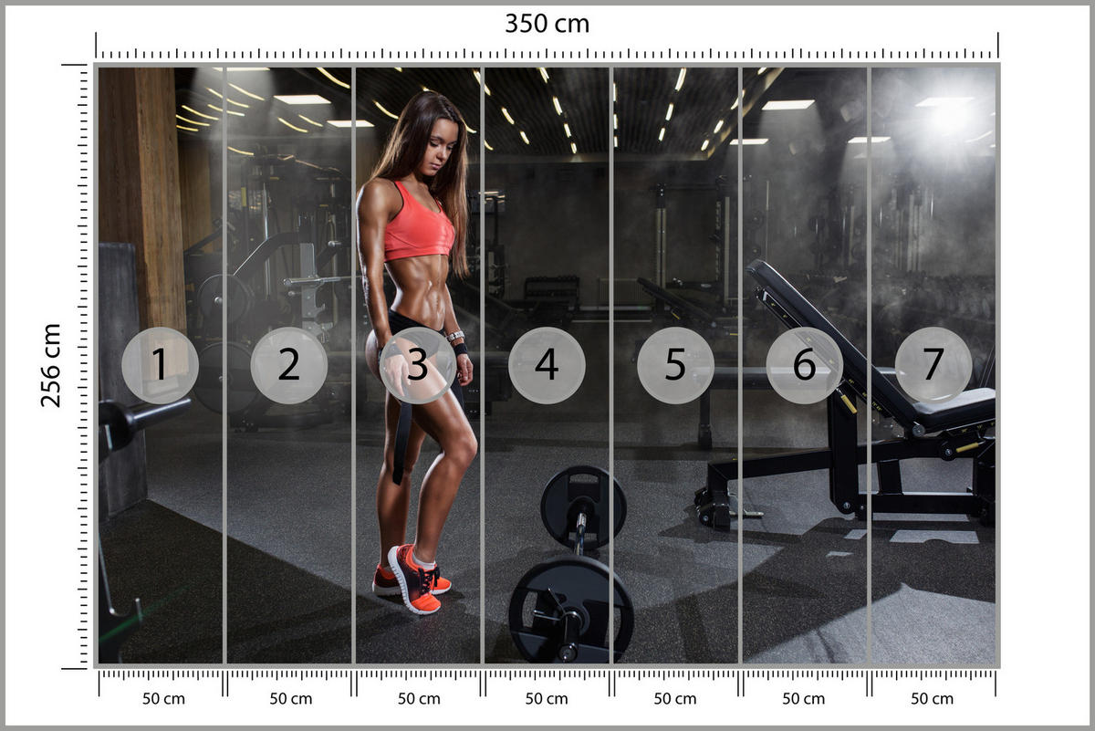 FOTOTAPETE Fit Frau Gym Langhantel Kraft Sport Fitnessstudio 350x256 - Schwarz/Braun, Papier (350/256cm) - Muralo