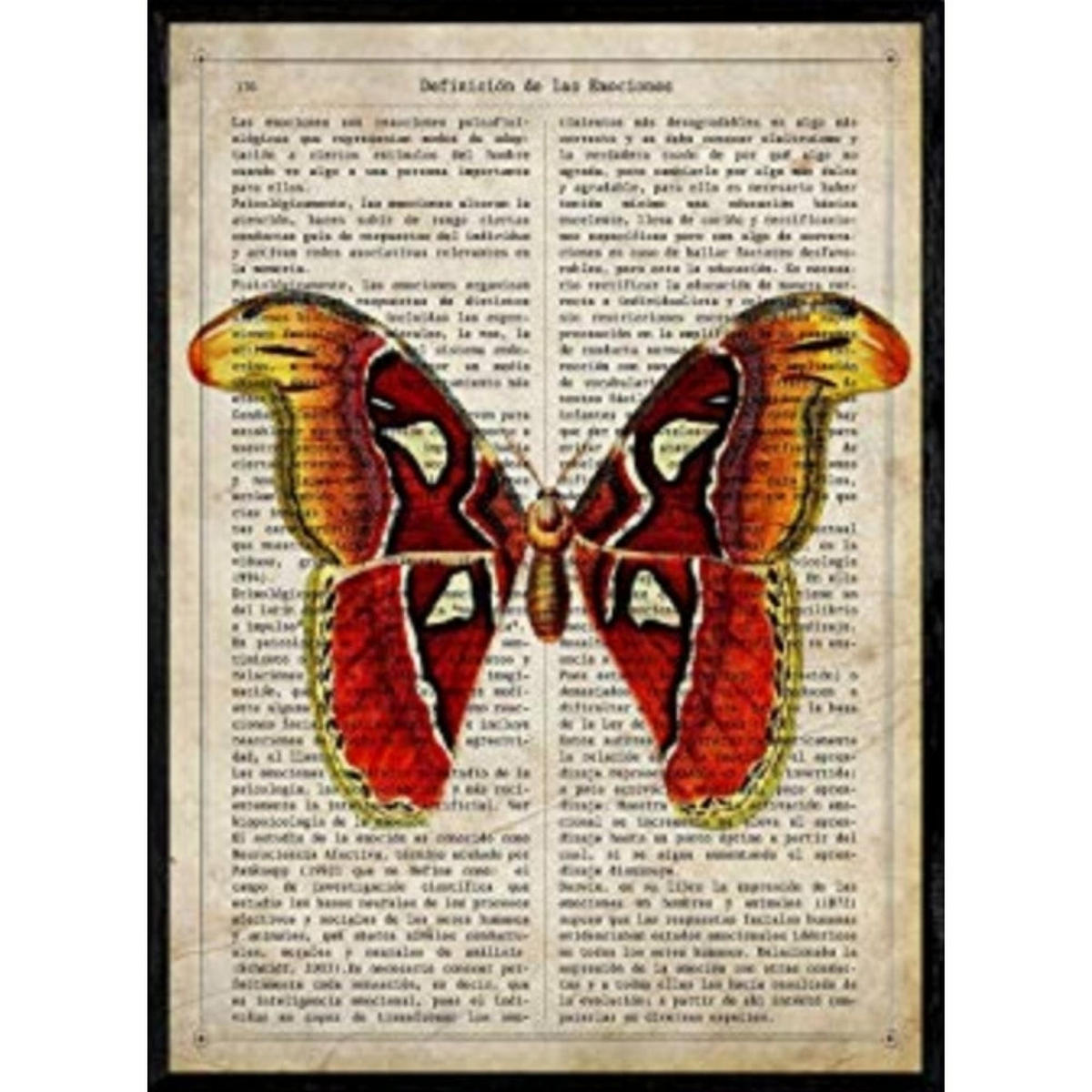 POSTER Schmetterlingsbögen. A4 Schwarzer Rahmen - Schwarz, Papier (29.7/5/21cm) - Nacnic