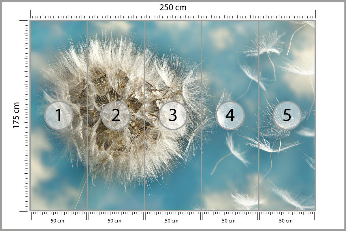 FOTOTAPETE für Schlafzimmer Löwenzahn im Wind Leicht Dynamisch 250x175 - Blau/Beige, Papier (250/175cm) - Muralo