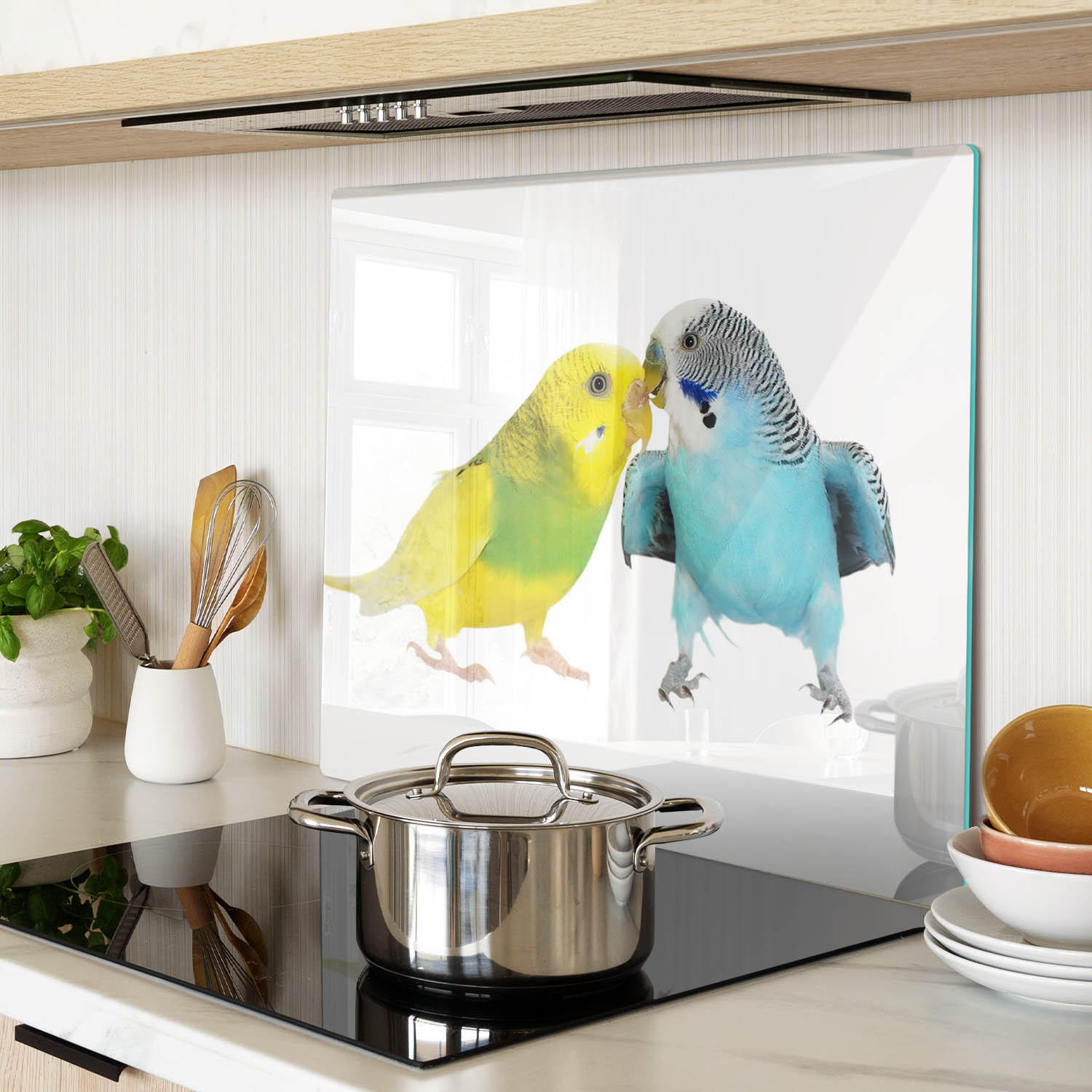 GLASPLATTE 60x52 cm Wellensittiche - Grau, Glas (60/0.4/52cm) - TULUP