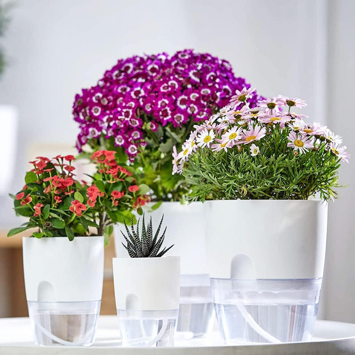 BLUMENTOPF 6er Set mit Bewässerungssystem Weiß - Weiß, Kunststoff (24/25/24cm)
