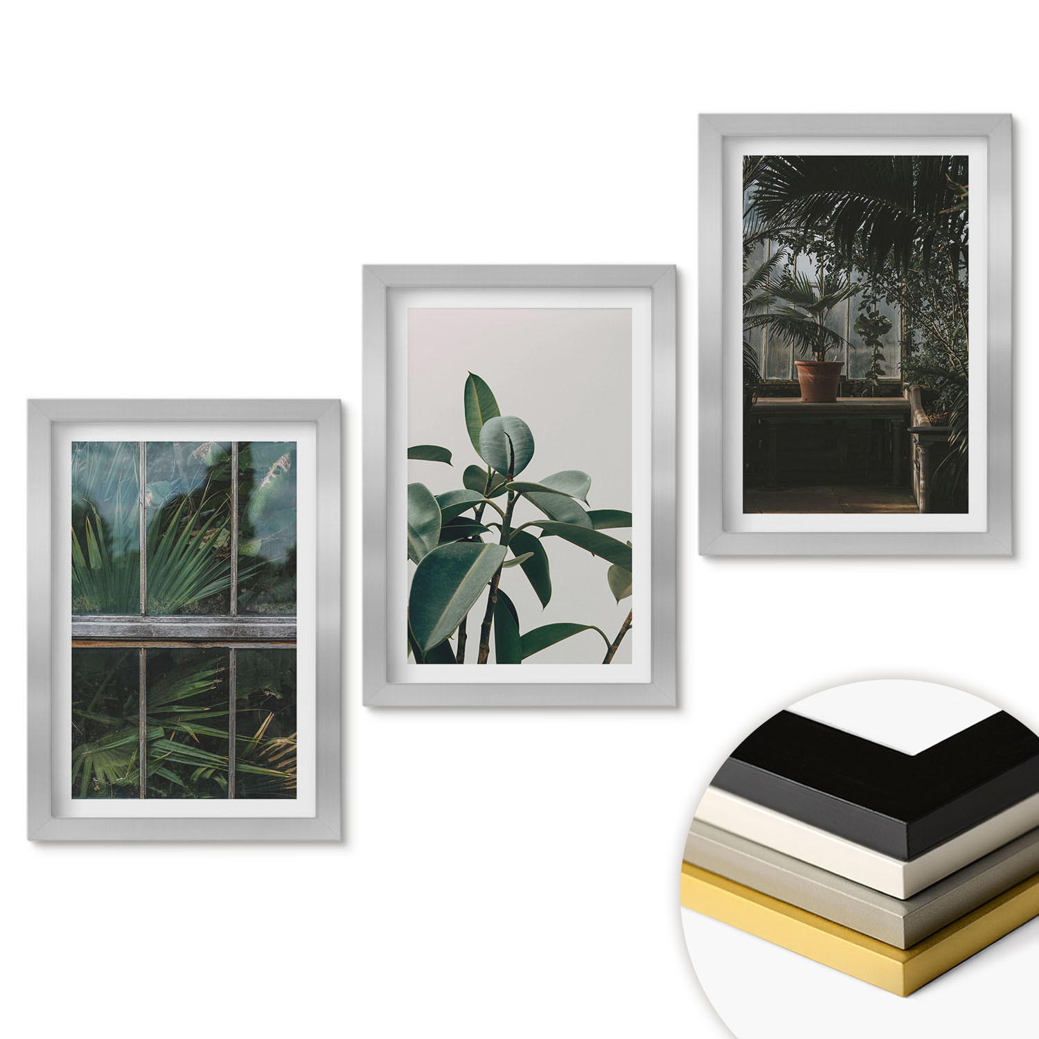 WANDBILDER 3er Set - 20x30 cm Silberner Rahmen - Grüne Blätter an der Fensterpflanze - Silberfarben, Kunststoff (20/30cm) - ArtPrintCave