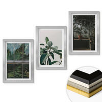 WANDBILDER 3er Set - 20x30 cm Silberner Rahmen - Grüne Blätter an der Fensterpflanze - Silberfarben, Kunststoff (20/30cm) - ArtPrintCave