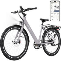 E-BIKE BK18PRO ,IP67 wasserdicht ,Torquemotor ,App-Steuerung - Grau, Metall (86cm) - HITWAY