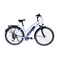 E-TREKKING Bafang Lady E-Bike Hellgrau 28 Zoll Gr:46 - Hellgrau, Metall (46cm) - Hawk Bikes