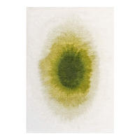 PREPROGA Drop Green Pepper 140/200 cm - zelena, umetna masa/tekstil (140/200cm) - Louis De Poortere