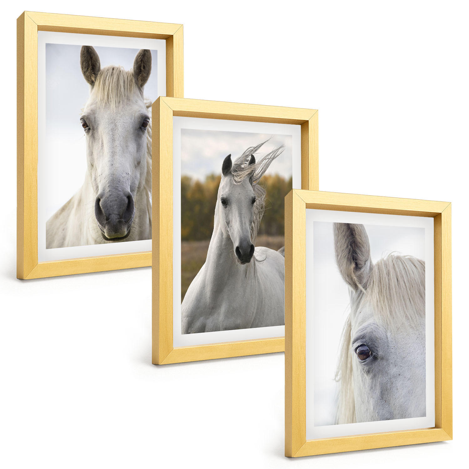 BILDER SET 3er Set - 20x30 cm Goldrahmen - Weiße Pferde in der Natur - Goldfarben, Kunststoff (20/30cm) - TULUP