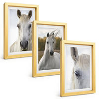 BILDER SET 3er Set - 20x30 cm Goldrahmen - Weiße Pferde in der Natur - Goldfarben, Kunststoff (20/30cm) - TULUP