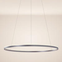 LED-HÄNGELAMPE Ring Aluminium Ø 120cm - Alufarben, Metall (120/120/3.3cm) - s.luce