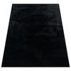 HOCHFLORTEPPICH 240/340 cm Soft 380 - Schwarz, Textil (240/340cm) - Paco Home