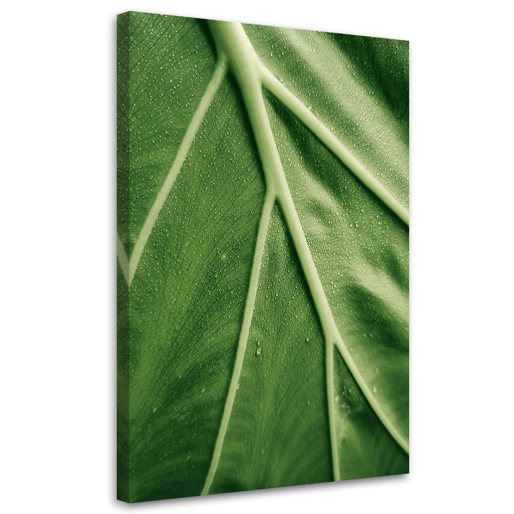WANDBILD tautropfen auf dem blatt im makro - Grün, Textil (40/60cm) - Feeby