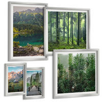 BILDER SET 5er Set - 50x50 cm & 20x30 cm & 40x60 cm Silberner Rahmen - Minimalistische Pflanzenzeichnungen - Silberfarben, Kunststoff (40/60cm) - TULUP