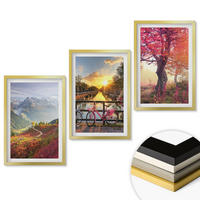 WANDBILDER 3er Set - 40x60 cm Goldrahmen - Berglandschaften mit dem Fahrrad - Goldfarben, Kunststoff (40/60cm) - ArtPrintCave