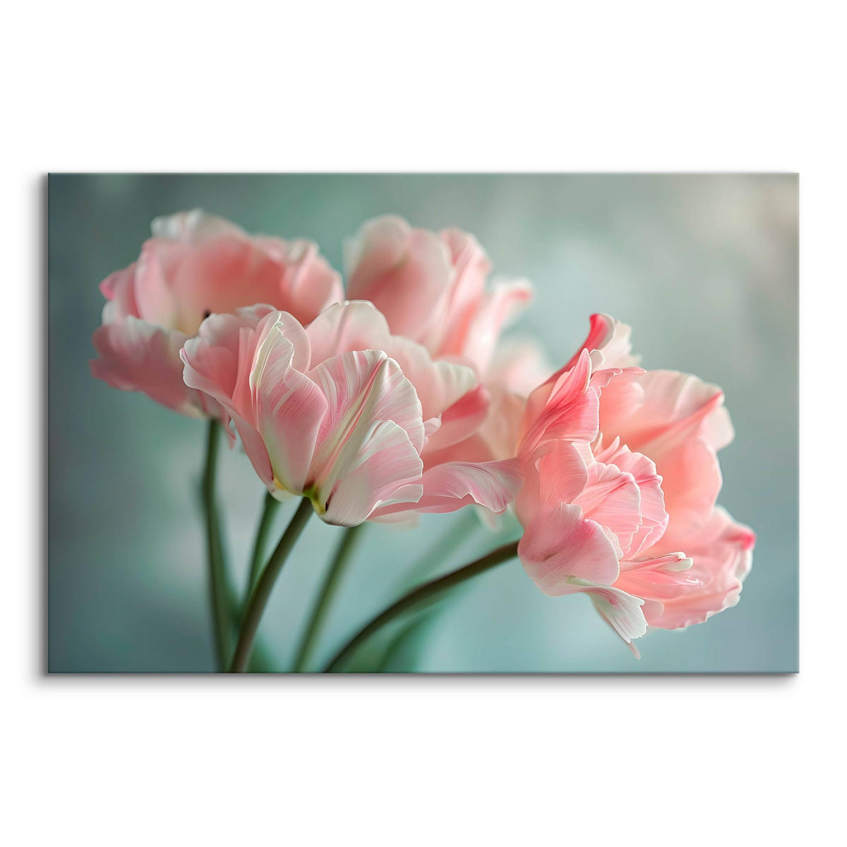 LEINWANDBILD für Wohnzimmer Blumen Tulpen Pflanzen Natur 30cm x 20cm - Blau/Rosa, Textil (30/20cm) - Muralo