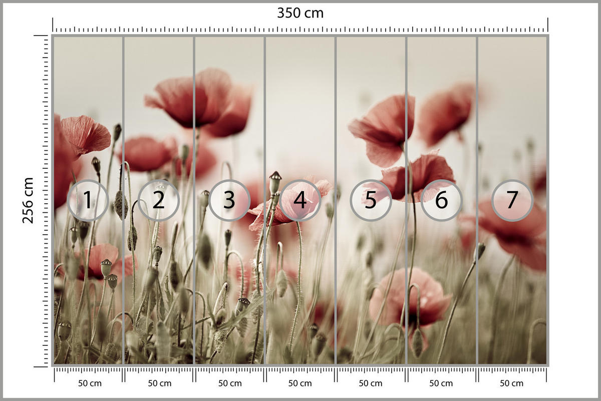 FOTOTAPETE für Wohnzimmer Zarte Mohn Blumen Wiese Rot 350x256 - Beige/Rot, Papier (350/256cm) - Muralo