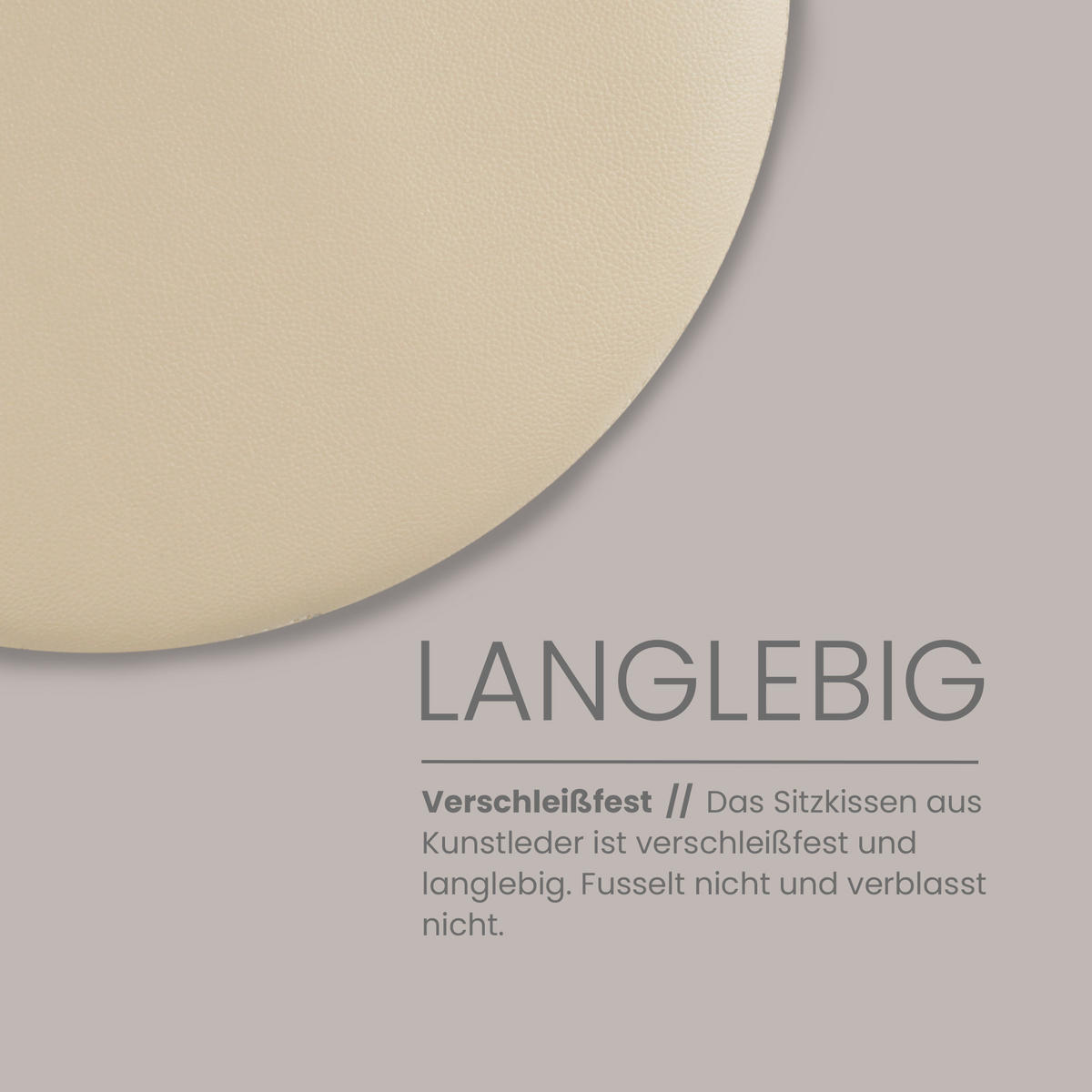 STUHLKISSEN 2er Pack ⌀ 38cm taupe Lederimitat mit Antirutsch - Taupe, Textil (38/38/1cm) - Bestlivings