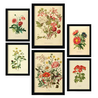 POSTER Set Mit 6 Blumensträuße 1 In Vintage A3 & A4 Rahmenlos - Klar, Papier (29/3cm) - Nacnic