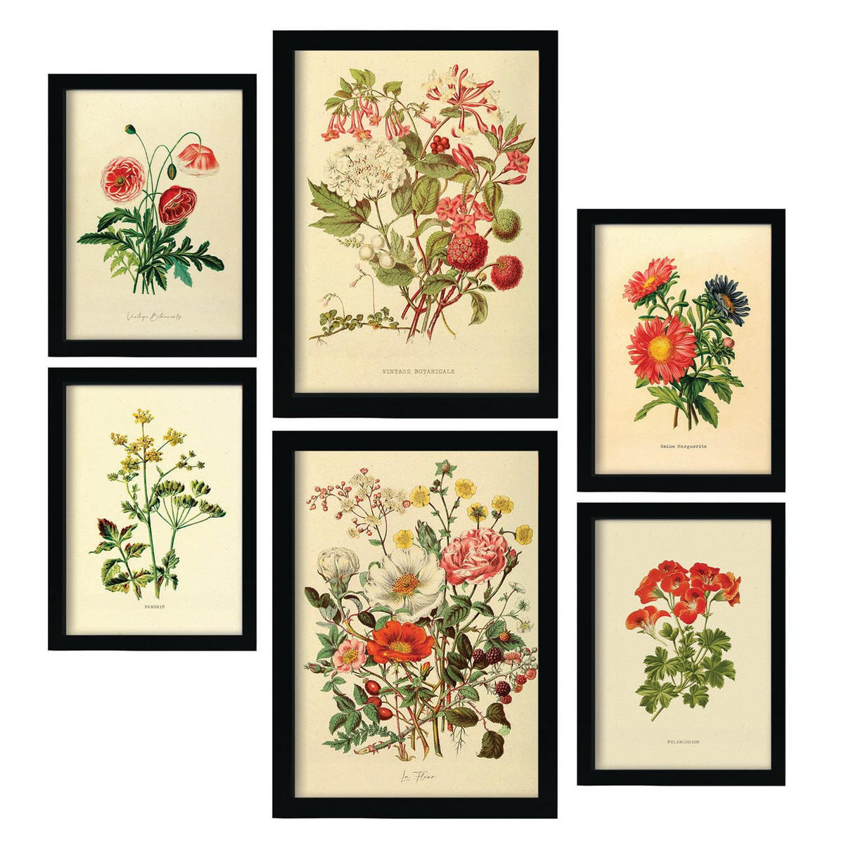 POSTER Set Mit 6 Blumensträuße 1 In Vintage A3 & A4 Rahmenlos - Klar, Papier (29/3cm) - Nacnic