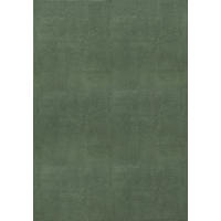 KURZFLORTEPPICH Antirutsch Geometrisch DALAR Polypropylen Waldgrün 300 x 400 cm - Grün, Textil (300/400cm) - KADIMA DESIGN