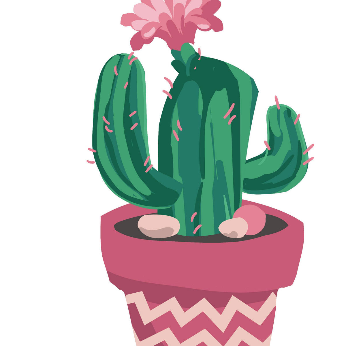 POSTER Set Mit 6 Kaktus Illustriert Blätter 30X30 Rahmenlos - Klar, Papier (29/3cm) - Nacnic