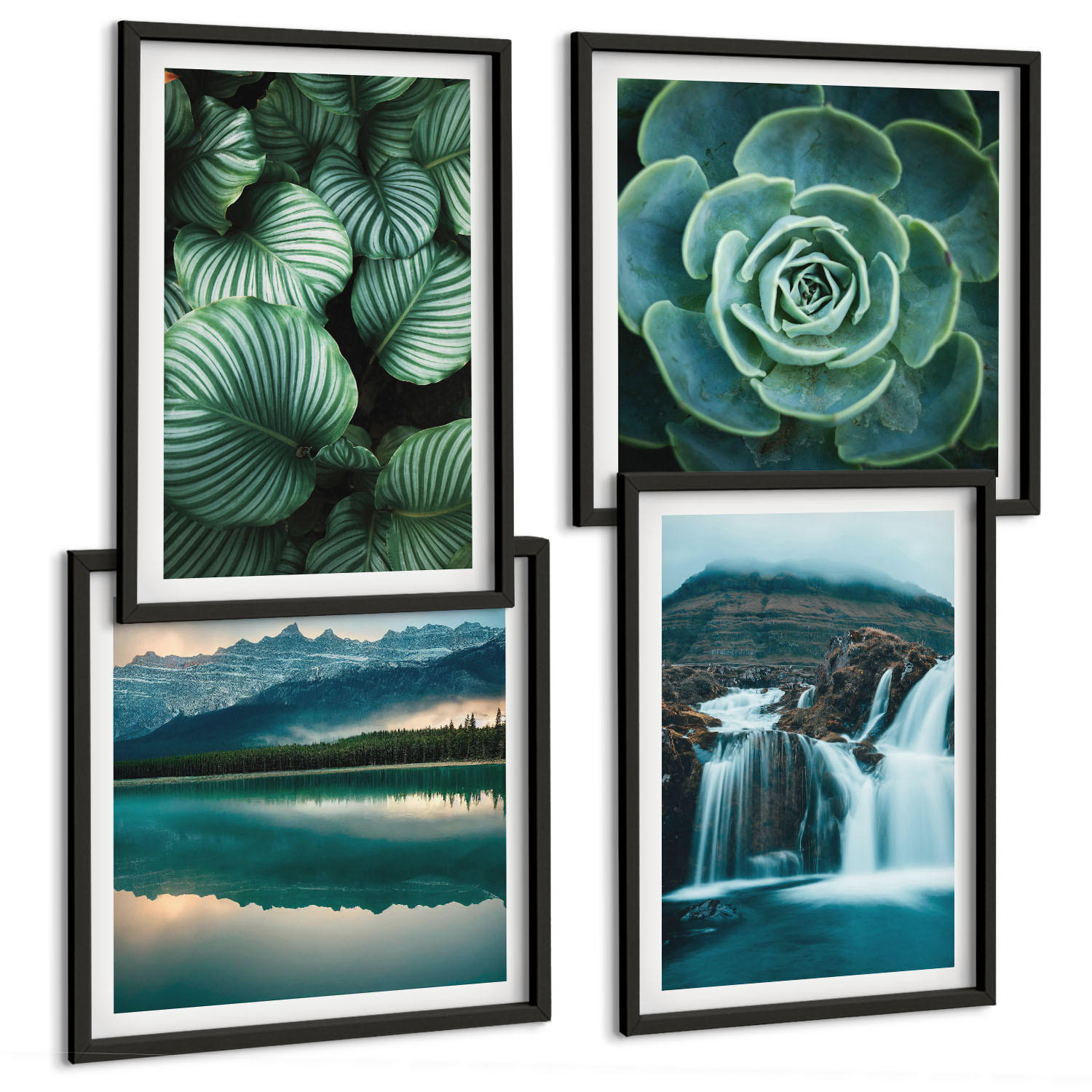 BILDER SET 4er Set - 50x50 cm & 40x60 cm Schwarzer Rahmen - Nahaufnahmen von Blättern sukkulenter Pflanzen - Schwarz, Kunststoff (50/50cm) - TULUP
