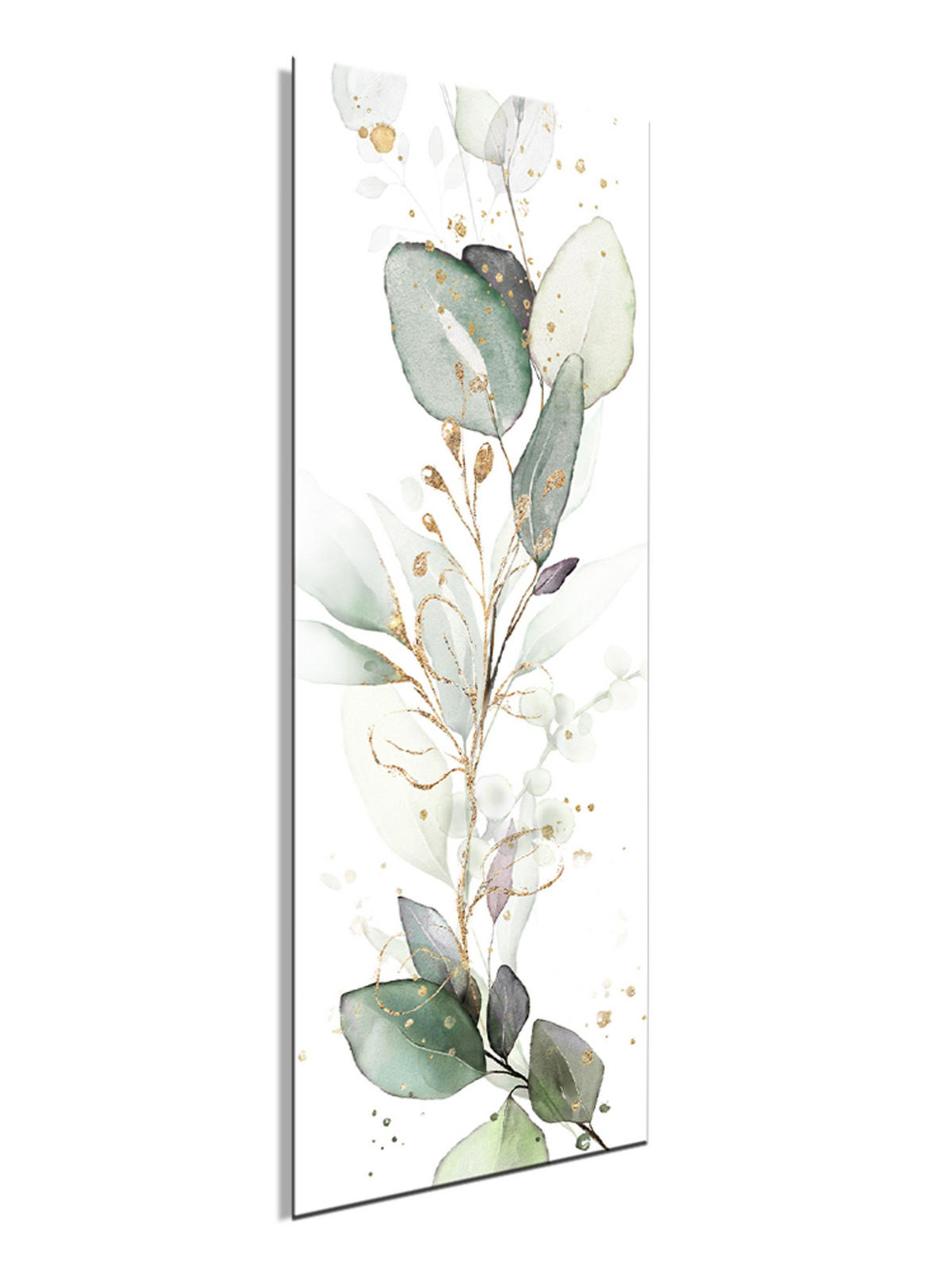 GLASBILD 30x80 cm Eukalyptus grün gold - Weiß, Glas (30/80cm) - artissimo