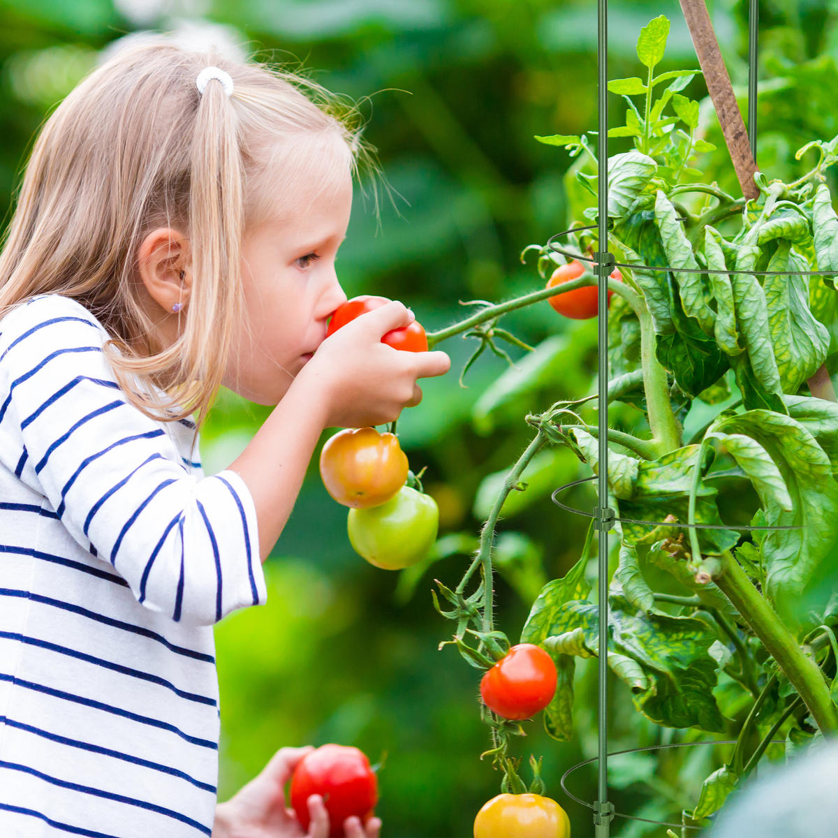 2XRANKHILFE - Dunkelgrün, Kunststoff/Metall (28/120/28cm) - Relaxdays