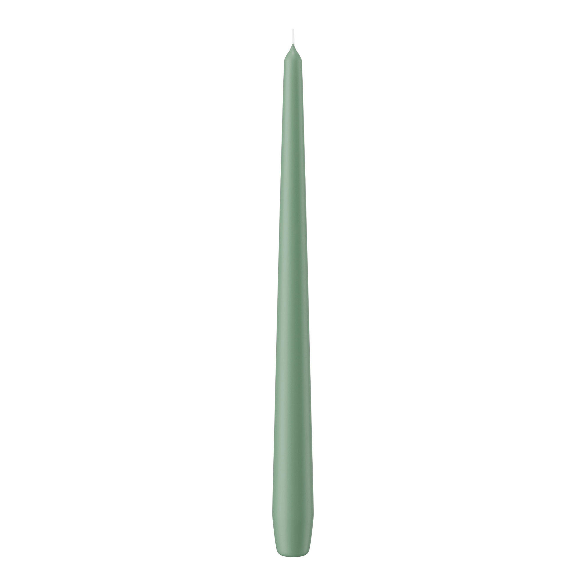 SPITZKERZEN Reseda 300 x Ø 25 mm, 12 Stück - Eukalyptusholzfarben, Paraffin (2.5/30/30cm) - Wiedemann Kerzen