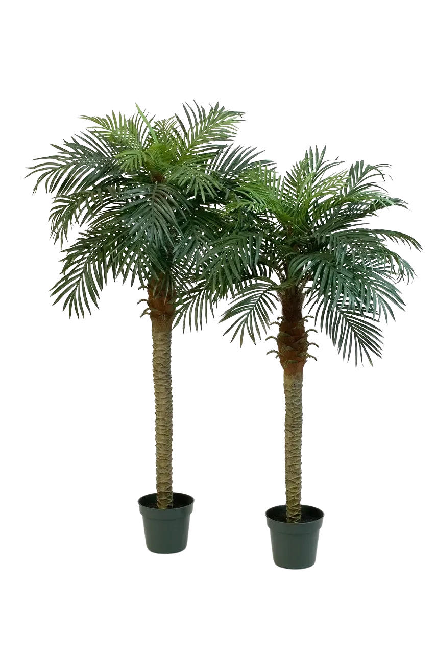 KUNSTBAUM Künstliche Dattelpalme - Fabienne 150 cm - Grün, Kunststoff (150cm) - aplanta