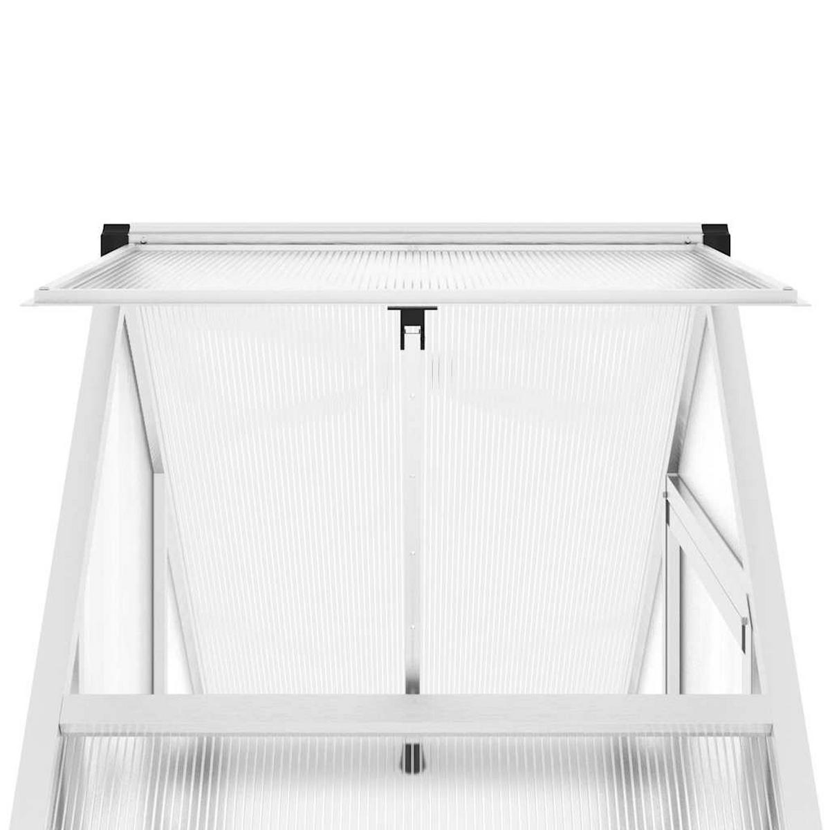 GEWÄCHSHAUS mit Fundamentrahmen 169/58/195 cm, aus Aluminium, Silbern - Silberfarben, Metall (58/195/169cm) - vidaXL