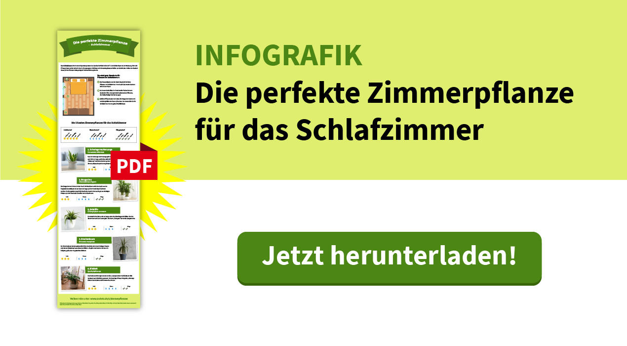 Download Infografik Schlafzimmer, Die passende Pflanze für jedes Zimmer XXXLutz