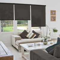 SEITENZUGROLLO Viewtex Screen 10% Öffnungsgrad - Schwarz, Textil (75/250/250cm) - VIEWTEX