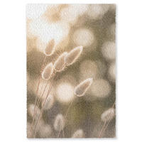 KOBERCE - Chvostoskok - Biely - Slnečné svetlo - 140x200 cm - béžová, textil/plast (140/0.4cm) - OnlyWow