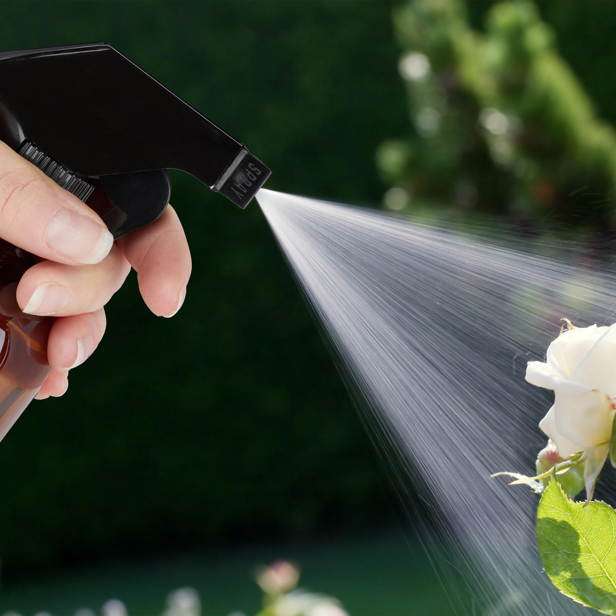 2xSPRÜHFLASCHE - Braun, Glas/Kunststoff (7/22/10cm) - Relaxdays