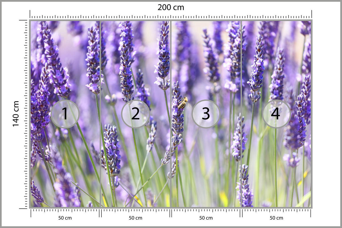 FOTOTAPETE für Küche Lavendelwiese Blumen Kräuter 200x140 - Violett/Grün, Papier (200/140cm) - Muralo