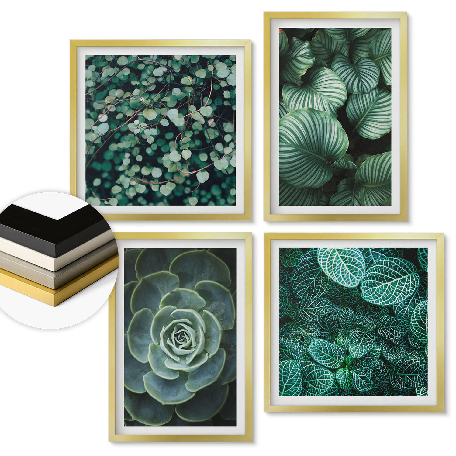 WANDBILDER 4er Set - 50x50 cm & 40x60 cm Goldrahmen - Grüne, saftige Blätter - Goldfarben, Kunststoff (50/50cm) - ArtPrintCave