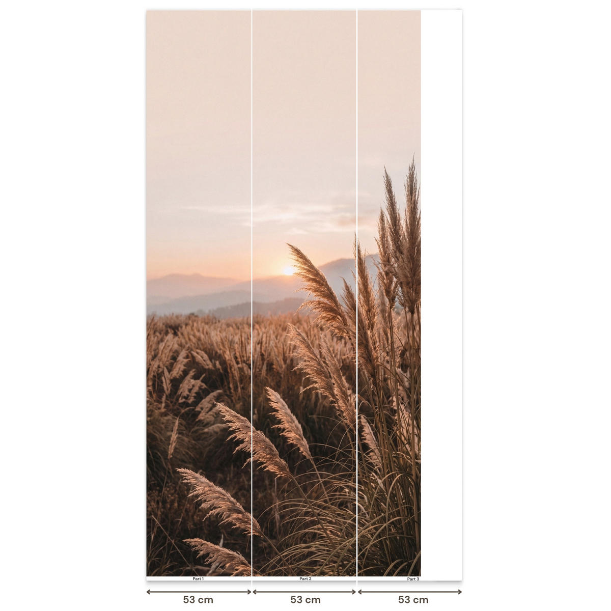 TAPETE - Gras - Feld - Sonne - Natur - 140x260 cm - Sandfarben, Papier (140/260cm) - OnlyWow