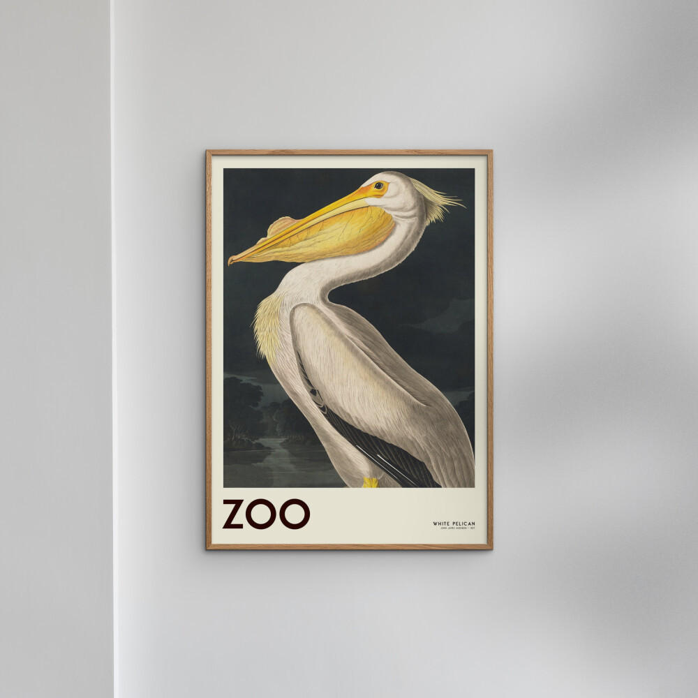 POSTER mit Rahmen A.P. Atelier - The Zoo Collection — White Pelican — Edt. 001 - Pink/Eichefarben, Holz/Papier (50/70cm) - Poster&Frame