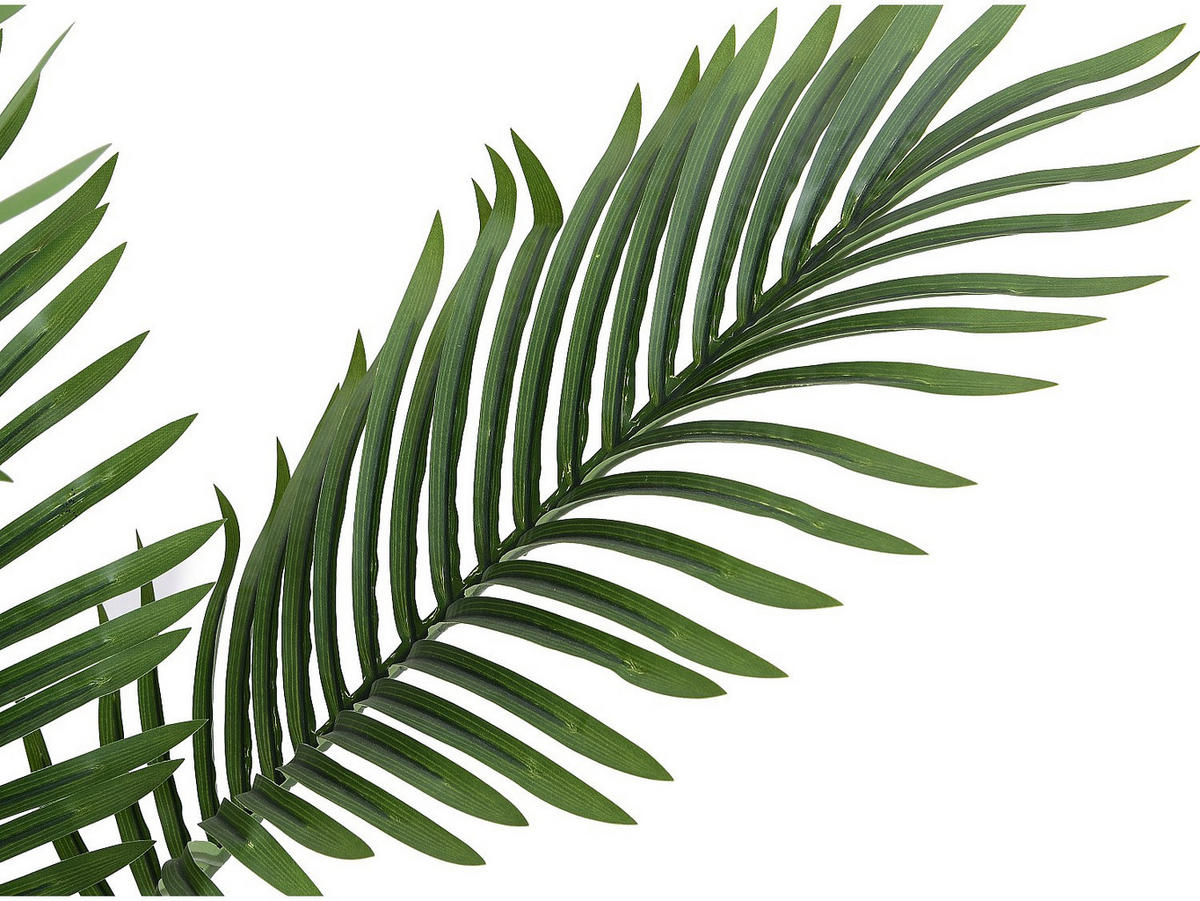 KUNSTPFLANZE - 80 cm x 80 cm - plastik - grün Palmita - Grün, Kunststoff (160cm) - Vente-Unique