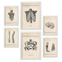 POSTER Set Mit 6 Körperanatomie Größe A3 & A4 Weißer Rahmen - Weiß, Papier (29.7/1cm) - Nacnic