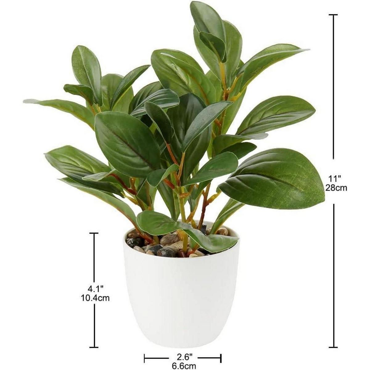 KÜNSTLICHE Zimmerpflanze Kamelie mit Blüten 28 cm - Grün, Kunststoff (27.9cm)