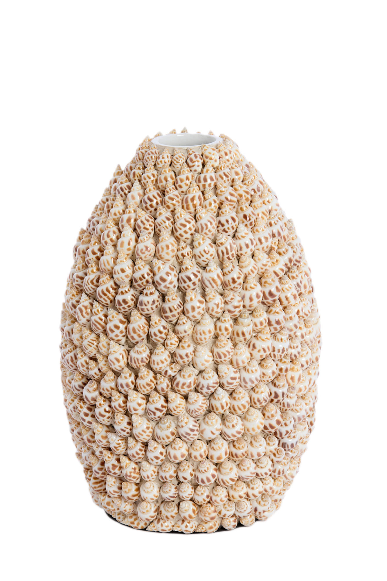 VASE Muschel Braun Ø19/28,5 cm - Hellbraun, Keramik (28.5cm) - Light & Living
