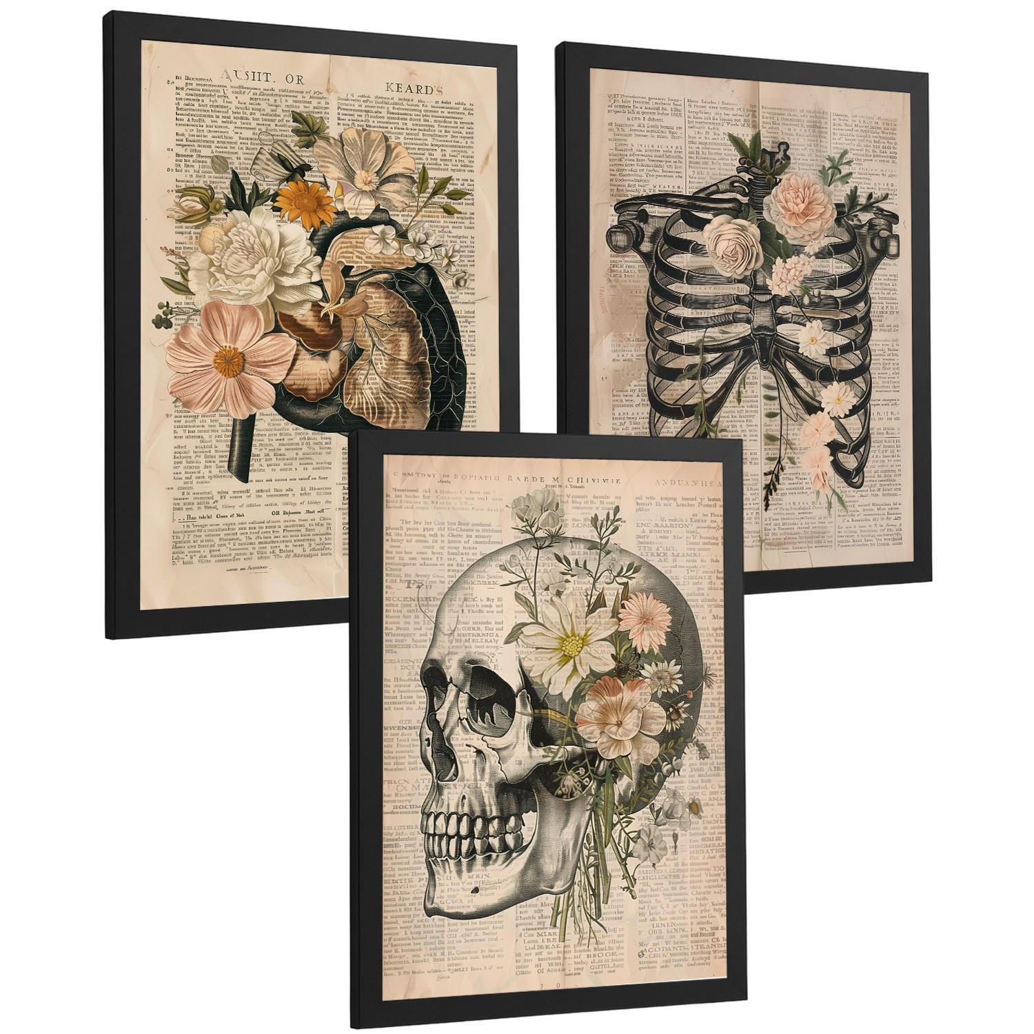 POSTER Set aus 3 Anatomie Mensch Drucke und Wandbilder mit Leber Rippen und Schädel Retro Floraler Stil Wanddekoration Größe Schwarzer Rahmen A4 - Schwarz, Papier (21/29.7/3cm) - Nacnic