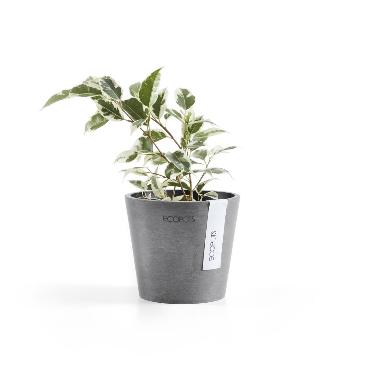 BLUMENTOPF Amsterdam 10,5/9,2 cm Grau - Grau, Kunststoff (10.5/9.2cm) - Ecopots