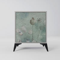 SIDEBOARD NIGHT LADY, Grau, 57,5x42x70,5 cm, Schwarze Metall-Sternfüße - Multicolor/Schwarz, Holzwerkstoff/Metall (57.5/70.5/42cm) - SpaceRebels