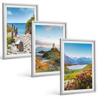 BILDER SET 3er Set - 40x60 cm Silberner Rahmen - Strand, Leuchtturm, Berge, Blumen - Silberfarben, Kunststoff (40/60cm) - TULUP